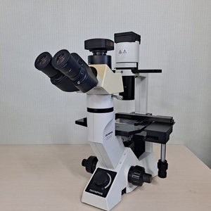 OLYMPUS CKX41 올림푸스 도립현미경