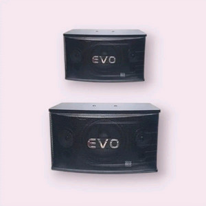노래방 evo 10 인치 스피커 2개 한세트판매