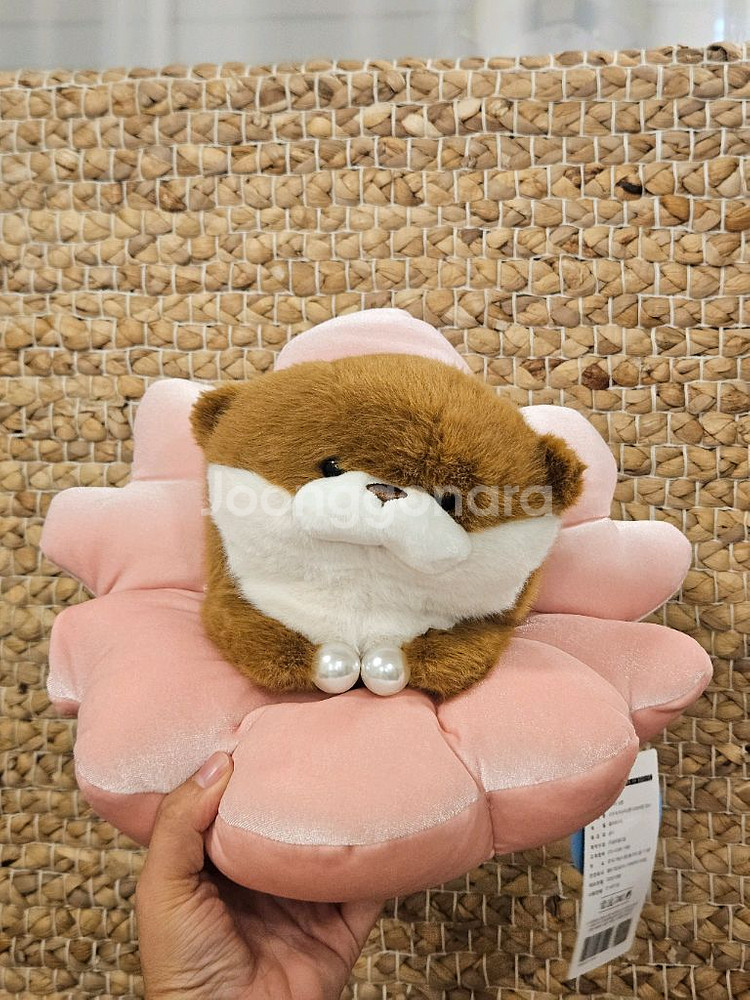 조개속 수달 봉제인형--0
