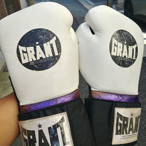 그랜트 grant 복싱 글러브 18oz 헤비급
