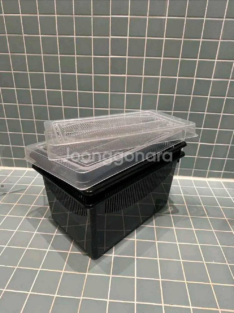 레파즈 대사육통(블랙) (2개)--0