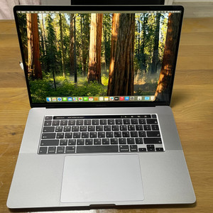 MacBook Pro 16인치 i9/16GB/1TB
