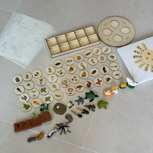 한살이 피규어,라이프 사이클,몬테소리교구