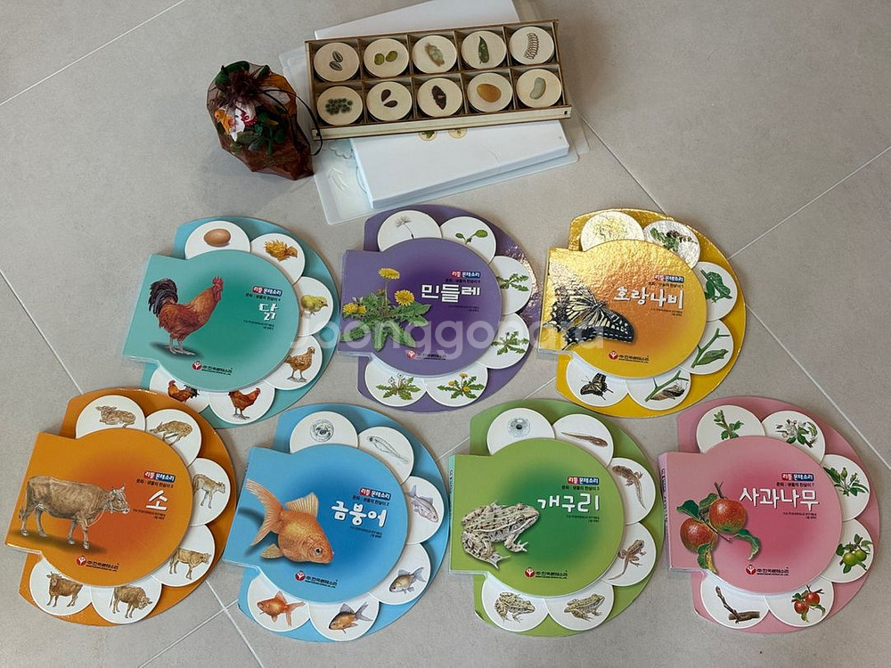 한살이 피규어,라이프 사이클,몬테소리교구--1