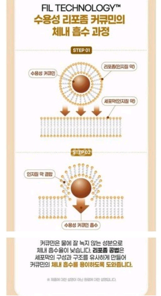수용성리포좀 커큐민정--5