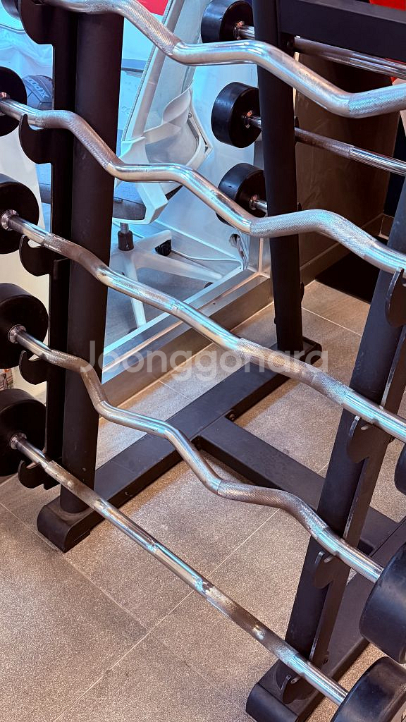 중고 바벨 세트 (이지바·일자바·렉) kg 1,000--1