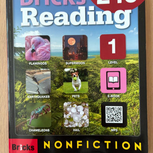 Bricks Reading Nonfiction 240