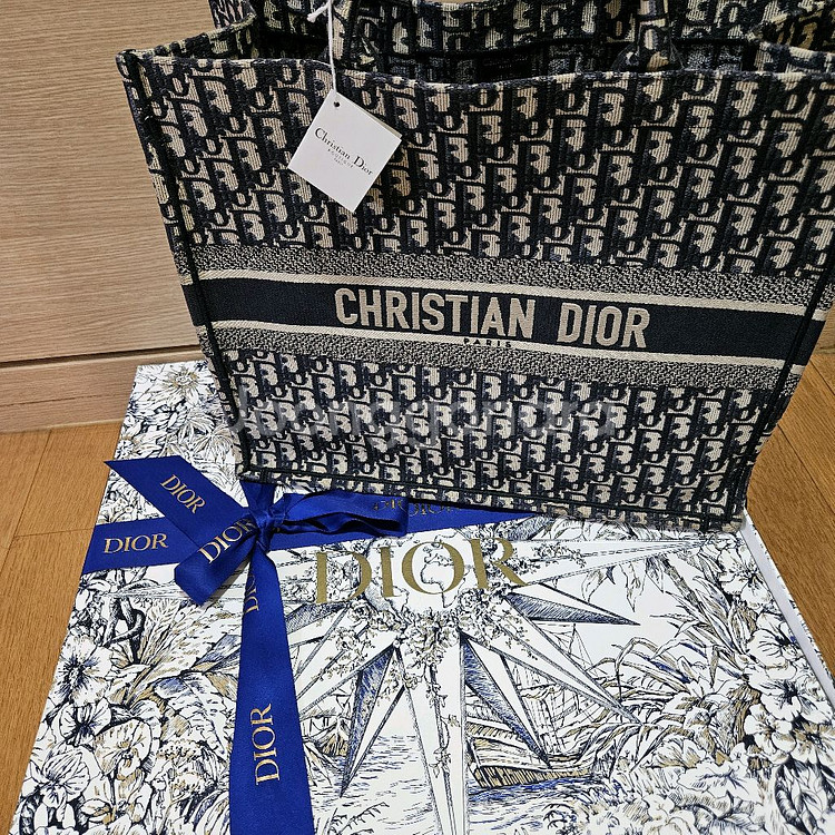 디올 오블리크 북토트백 라지--1