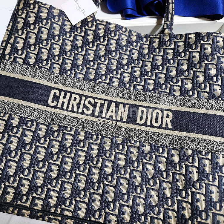 디올 오블리크 북토트백 라지--3