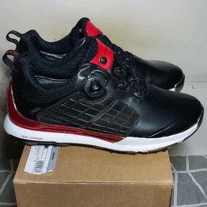 와이드앵글 고어텍스 골프화 265