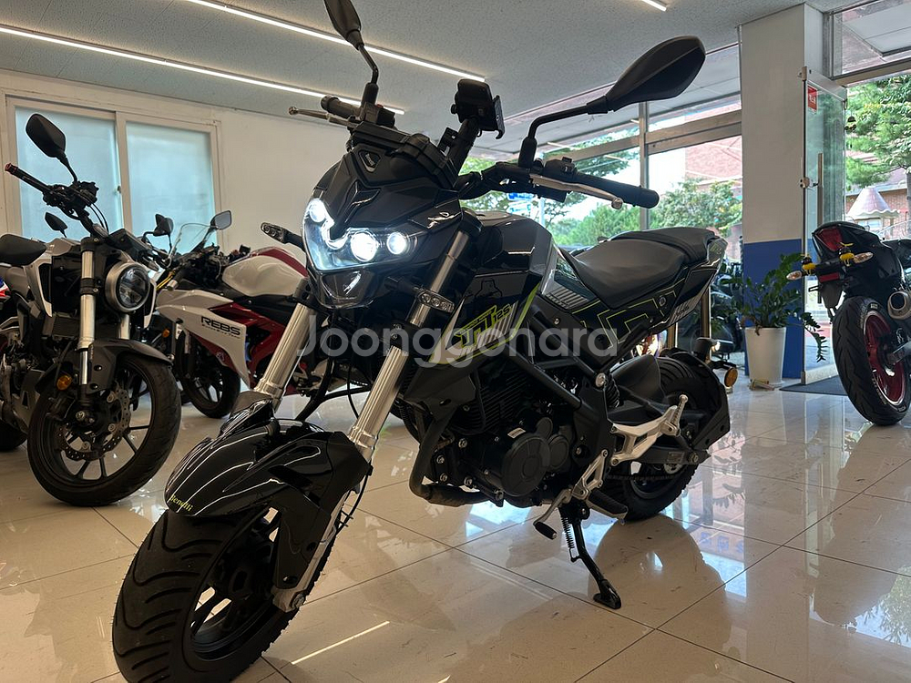 베넬리 TNT 125cc 23년식 2천km 판매합니다.--1