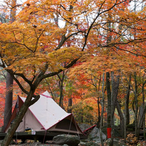 캠핑홀릭 오두막텐트
