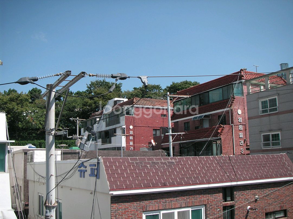 코니카 미놀타 디미지 X60 빈티지 디카 디지털 카메라--9
