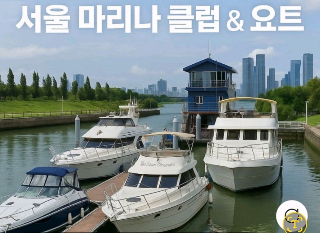 여의도 세계불꽃축제 요트관람 이미지