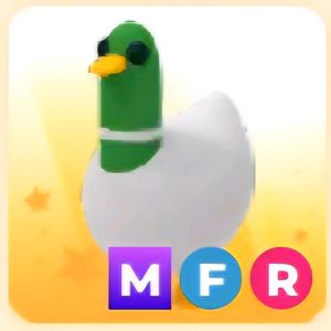 입양하세요 MFR 바보 오리 (메바보오리)