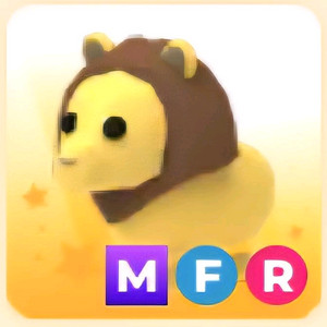 입양하세요 MFR 사자 (메사자)