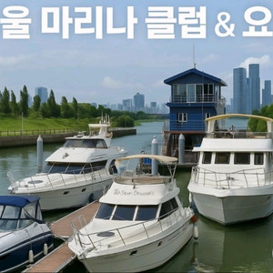 여의도 불꽃축제 마지막배입니다 이미지