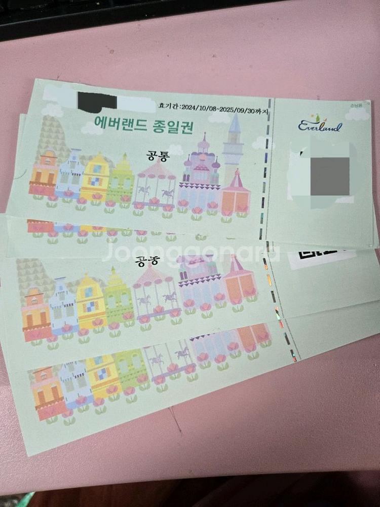 에버랜드 종일권(기간 만료,폐기)--0