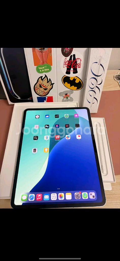아이패드 프로 m4 13인치 256기가 셀룰러 +애펜프--1