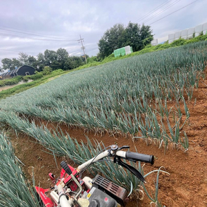 외발관리기 삽니디