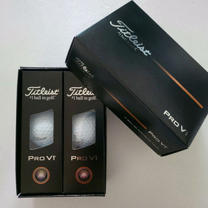 2025년 신상 타이틀리스트 PRO V1골프공