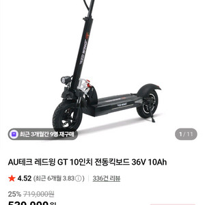 전동킥보드 레드윙 gt 36v 10인치