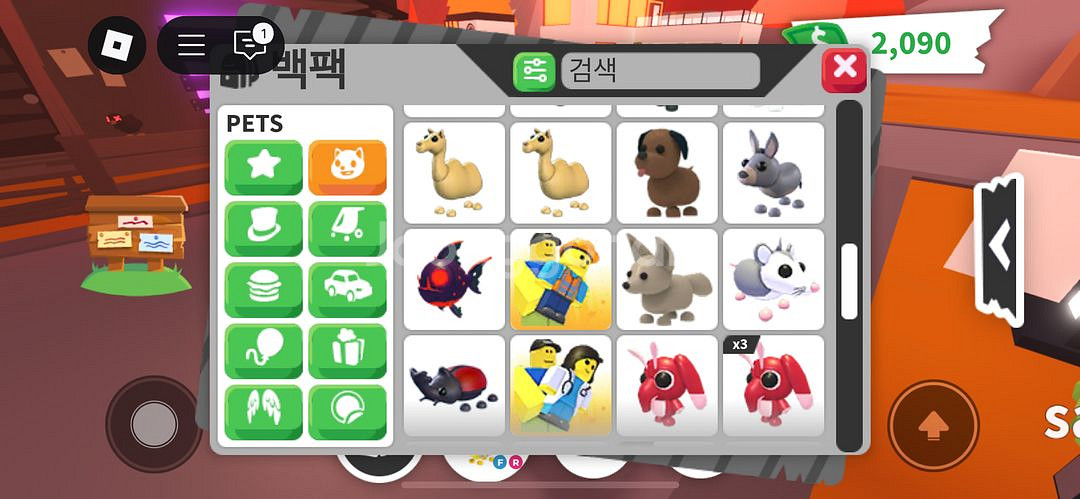 입양하세요 펫,탈물 판매--2