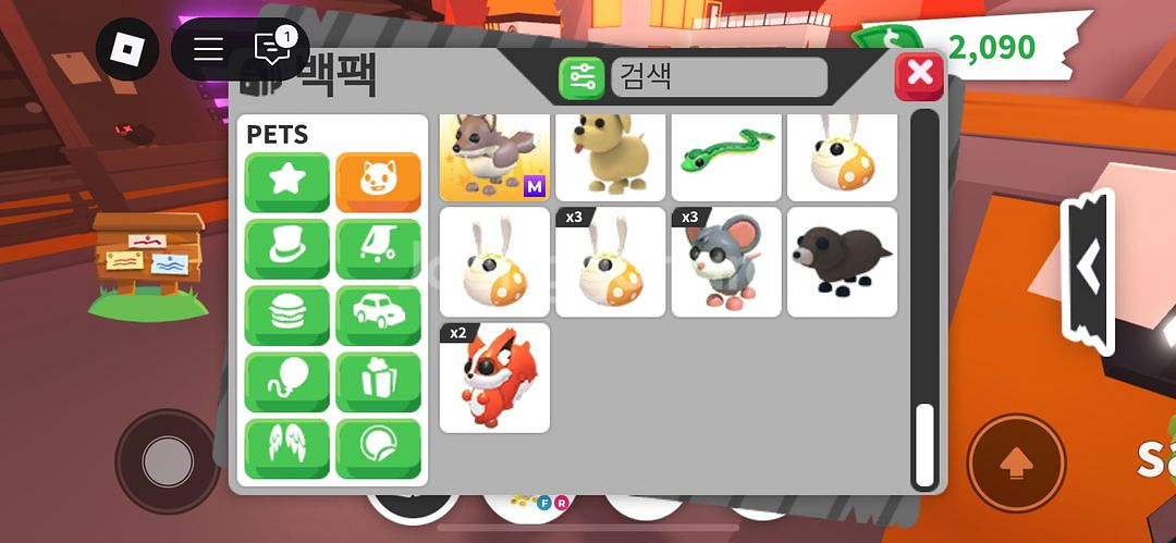 입양하세요 펫,탈물 판매--4