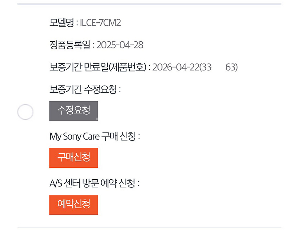 소니 a7c2(실버)--6