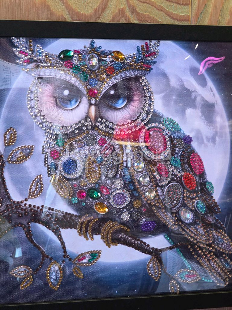 다이아몬드부엉이액자--6