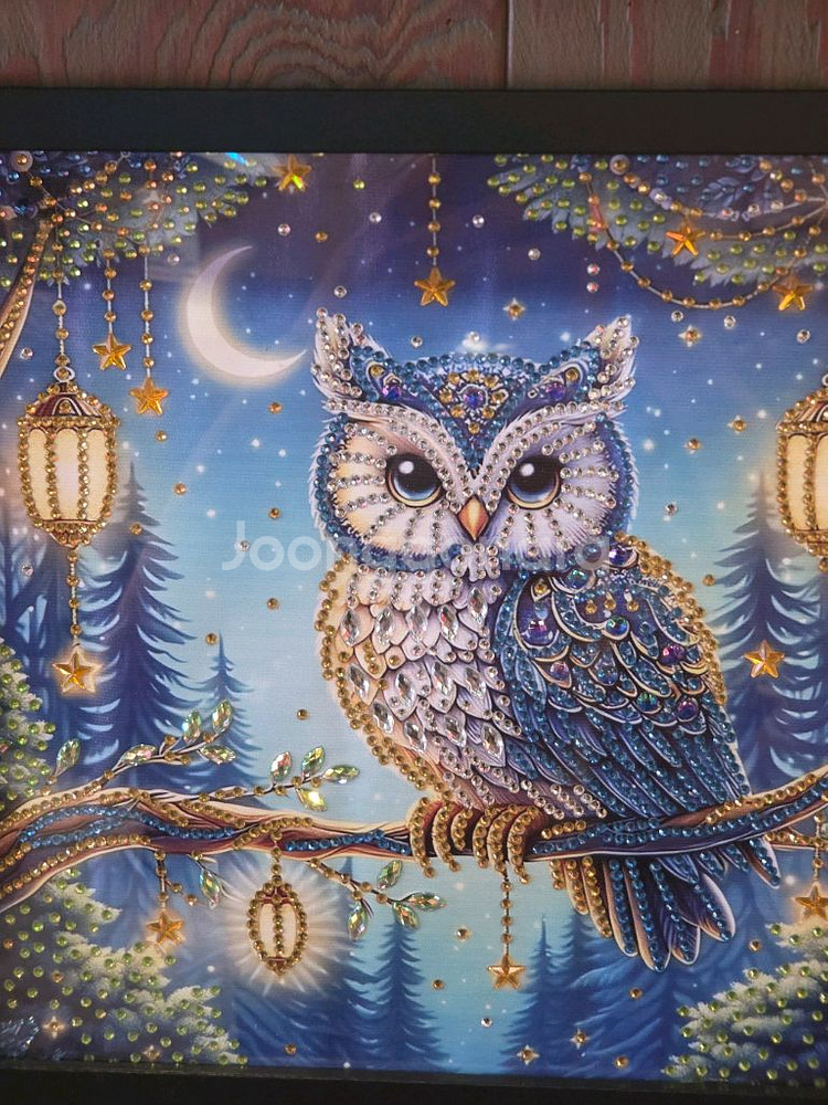 다이아몬드부엉이액자--1