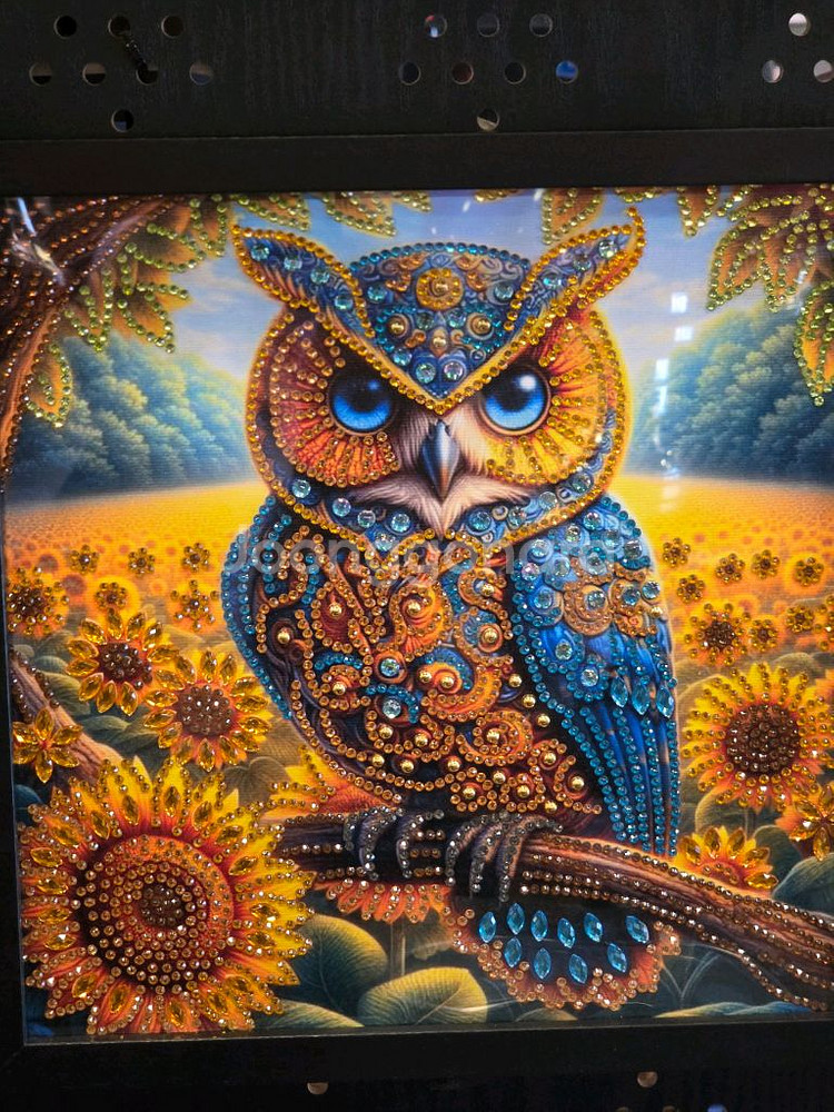 다이아몬드부엉이액자--3