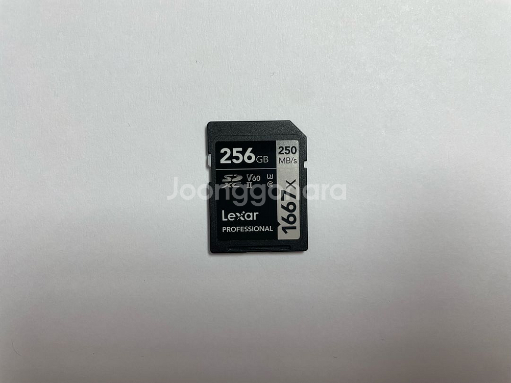 렉사 SD 카드 256GB--1