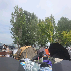 서울불꽃축제 좋은자리가 있어 판매합니다 이미지