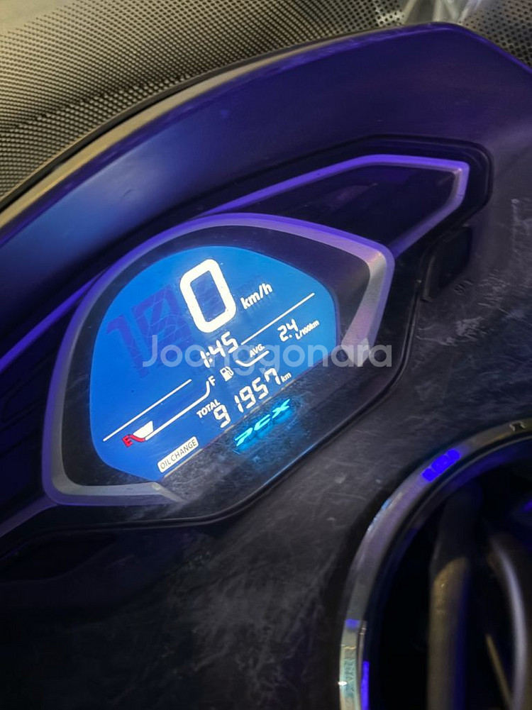 pcx 125 19년식 판매--1