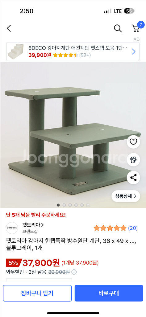 강아지 계단--2
