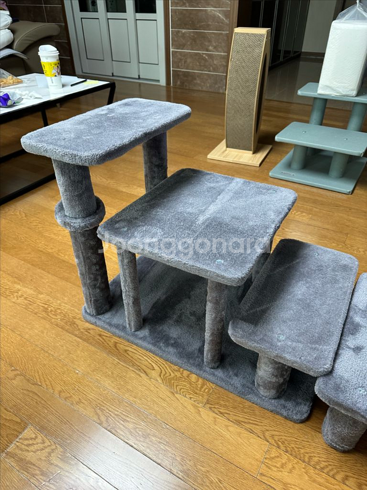 고양이 계단--0