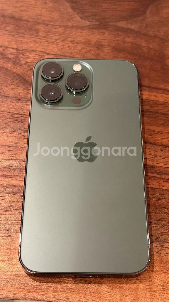 아이폰 13 Pro 256GB (알파인그린)--1