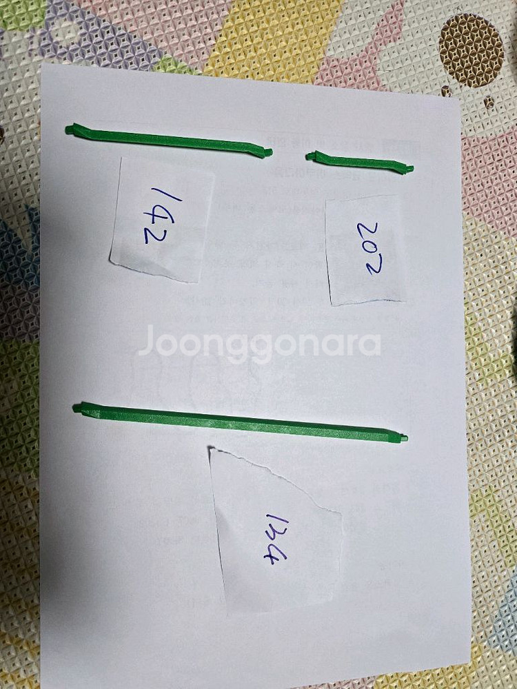 조노돔 시스템--7
