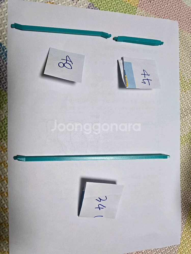 조노돔 시스템--4