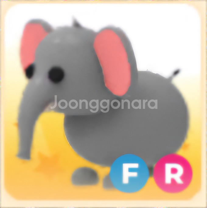 입양하세요 FR 코끼리--0