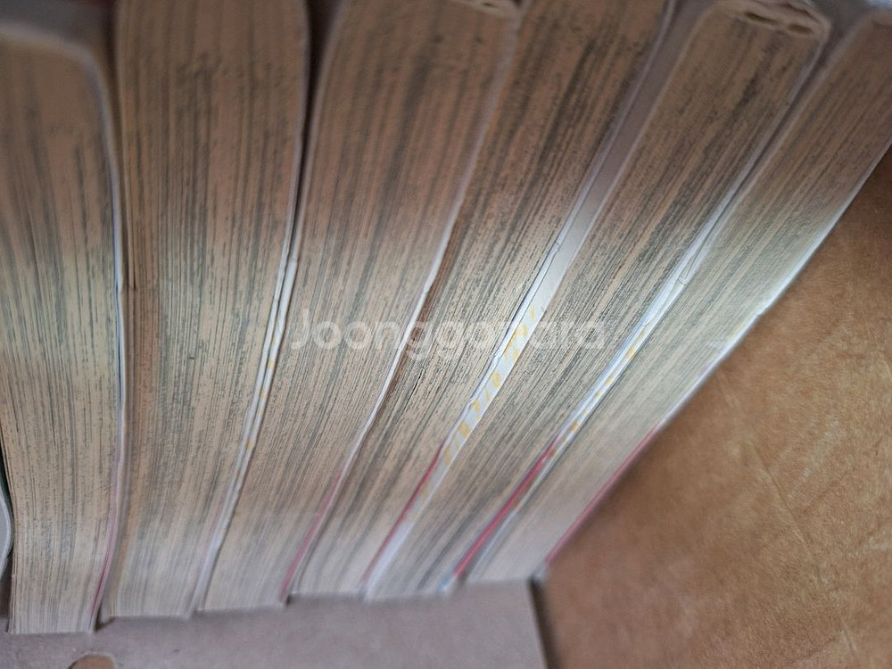 채운국 이야기 6권--1