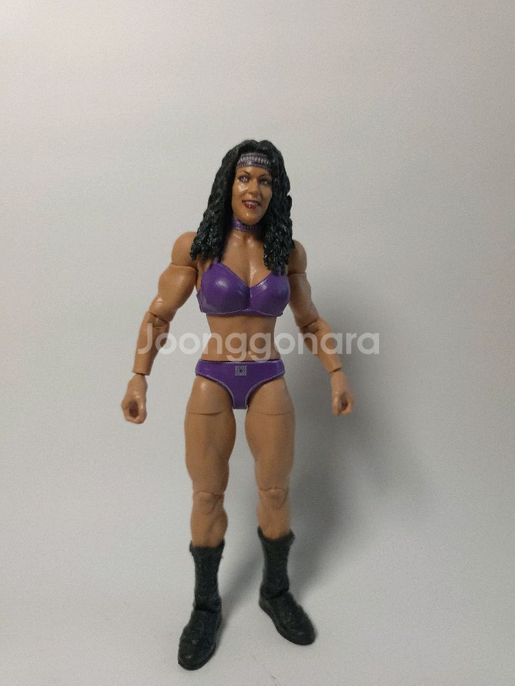 WWE 피규어 판매합니다^^--8