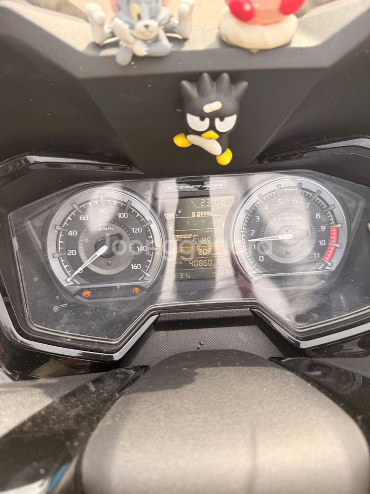 포르자350 24년식 4@@@@km--9