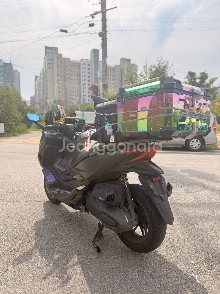 포르자350 24년식 4@@@@km--5