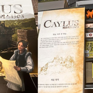 보드게임(오잉크, 헤이요, 염소위염소 외)