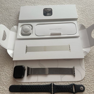 애플워치10 42mm GPS + 셀룰러, 네츄럴 티타늄