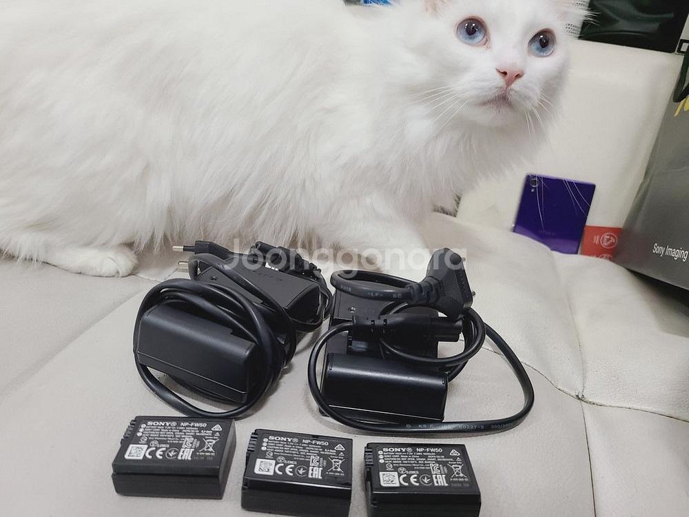 Rx1r3 소니 정품 FW50 배터리 A6400 NP--0