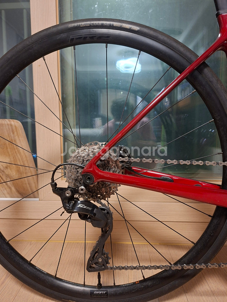 24 자이언트 tcr 어드밴스2 (xs)-가격 내립니다--2