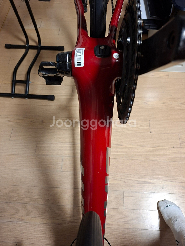 24 자이언트 tcr 어드밴스2 (xs)-가격 내립니다--5